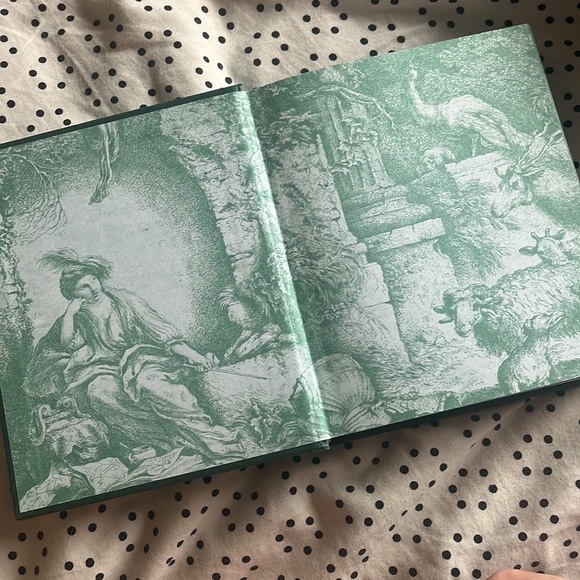 The Witch’s Way hardcover book by Shawn Robbins & Leanna Greenaway - Picture 5 of 9